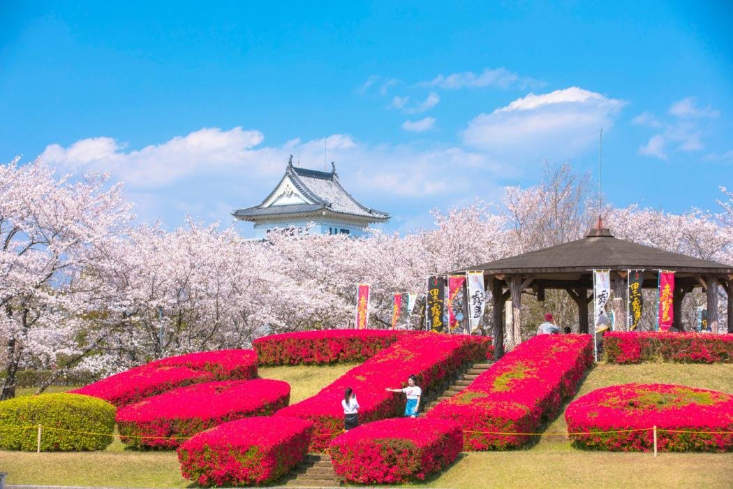 🏞️ 천개성 공원(아마가조 코우엔) 이미지 1